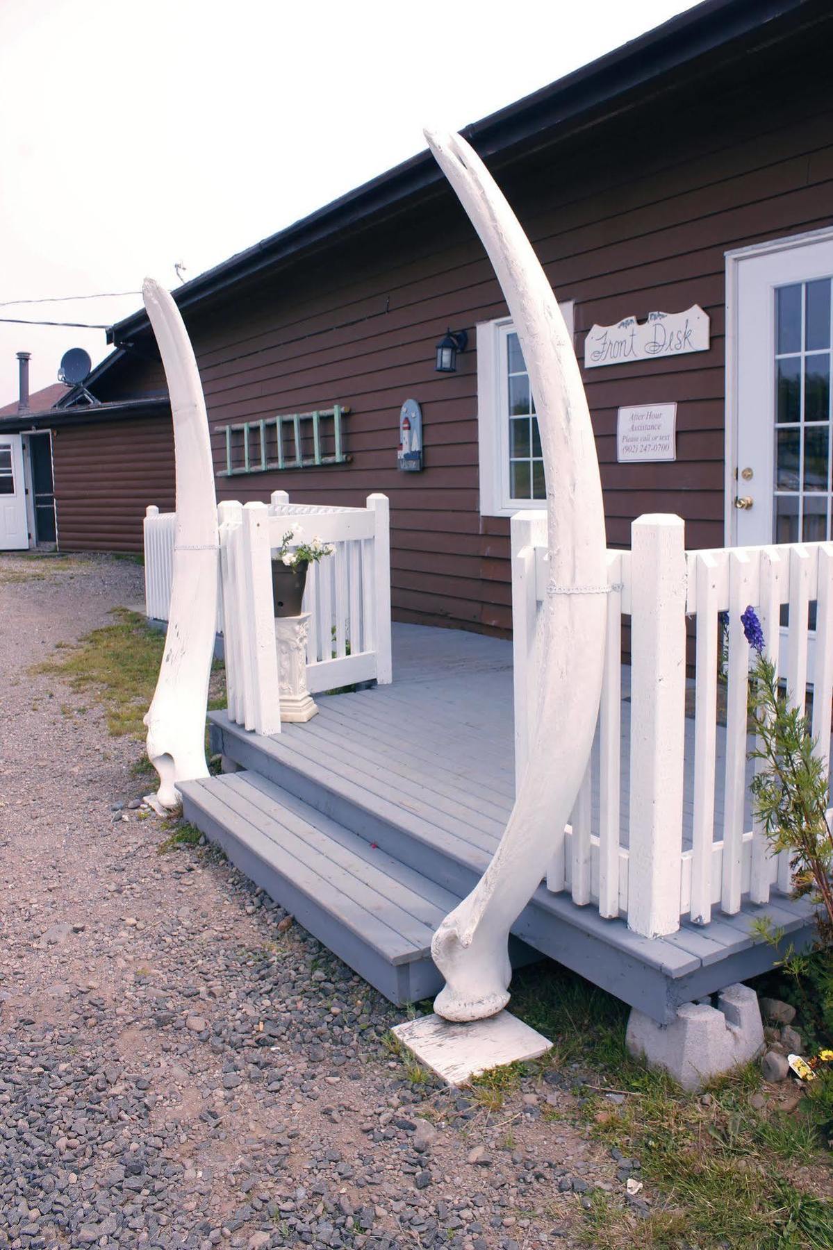 Brier Island Lodge Westport ภายนอก รูปภาพ